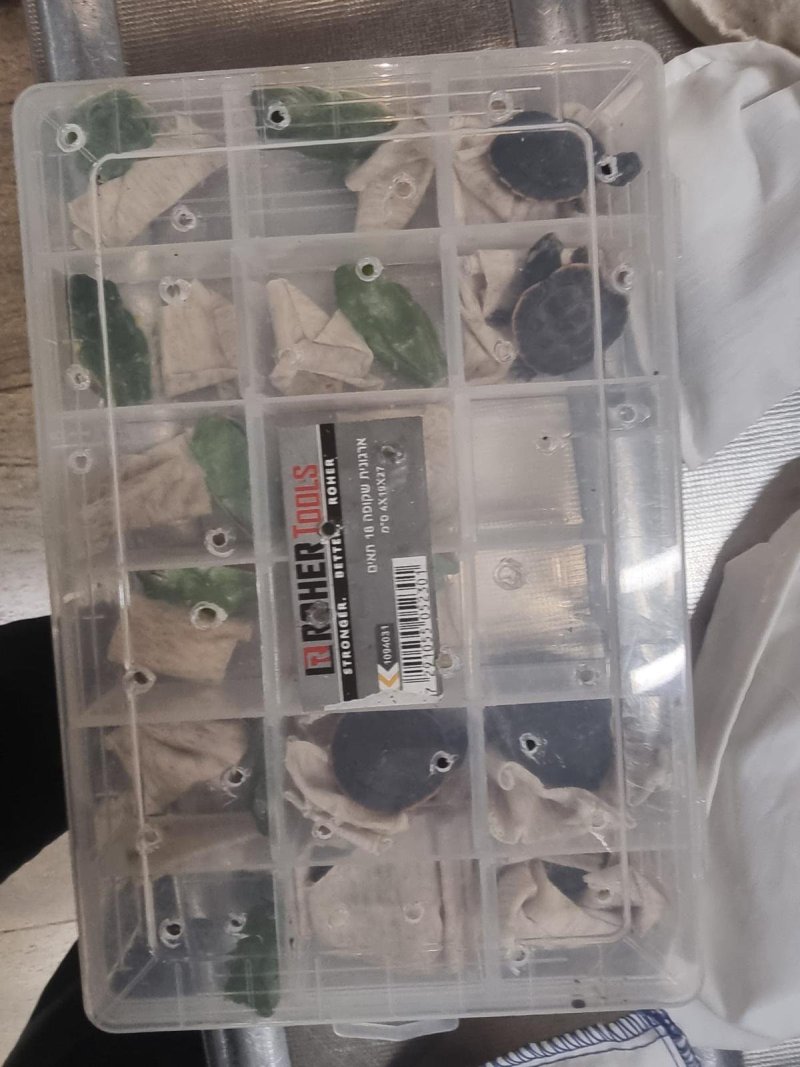 דוברות רשות המסים 