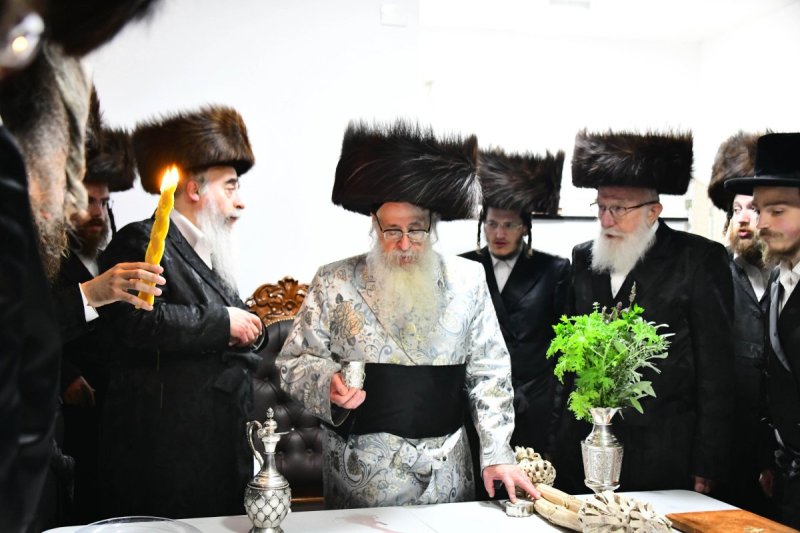 שוקי לרר