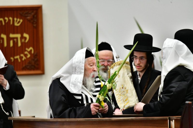 שוקי לרר