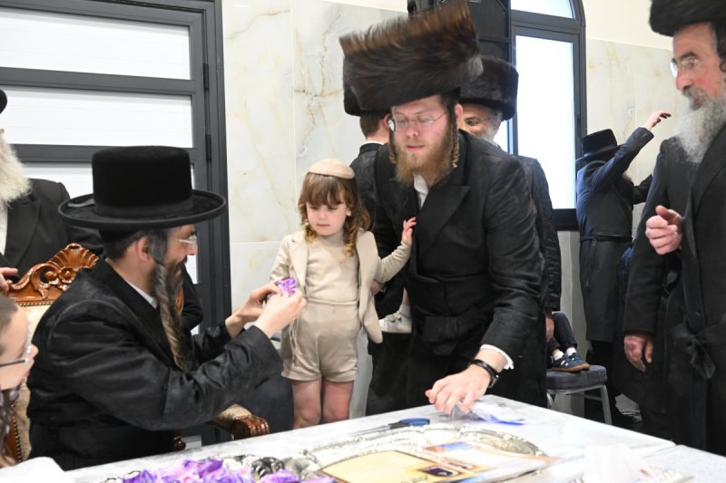 שימי פ.
