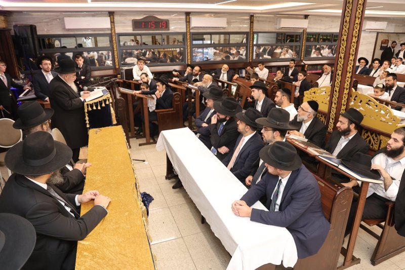 נועם אליהו