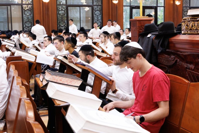 אלעזר פיינשטיין