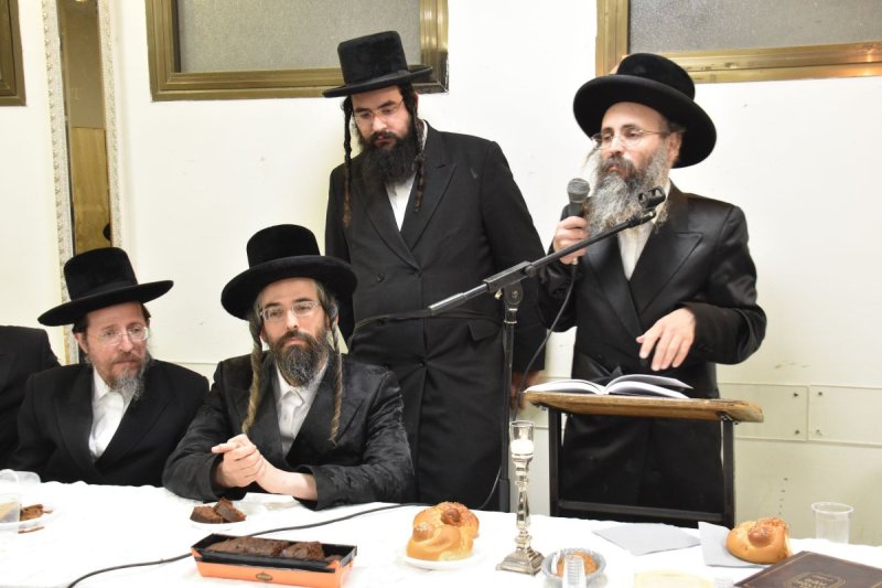 יהודה פרקוביץ