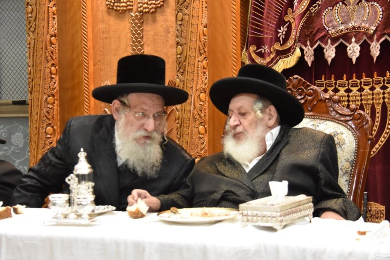 יהודה פרקוביץ