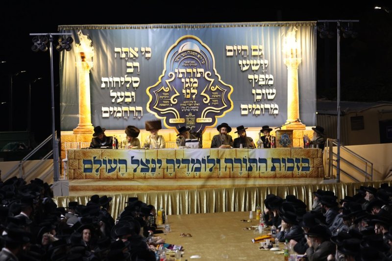 דוד כהן