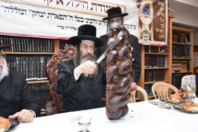 יהודה פרקוביץ