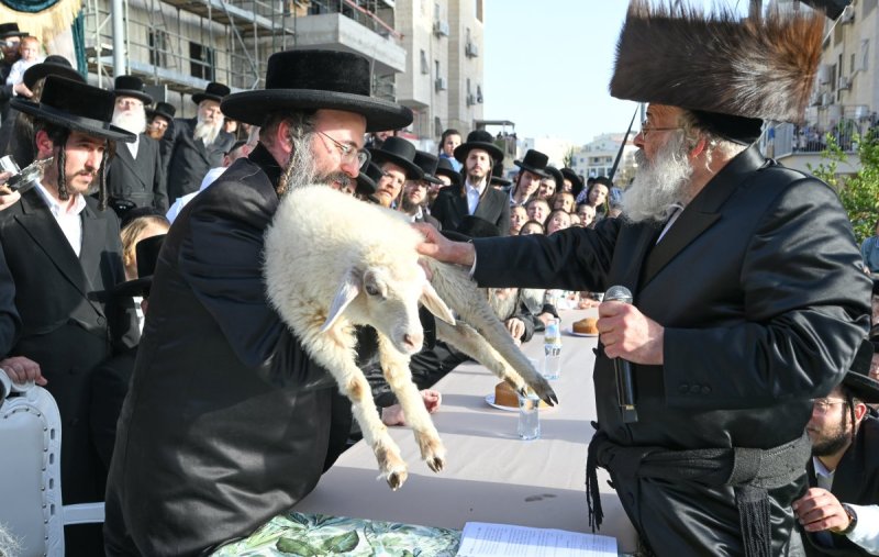 משה גולדשטיין