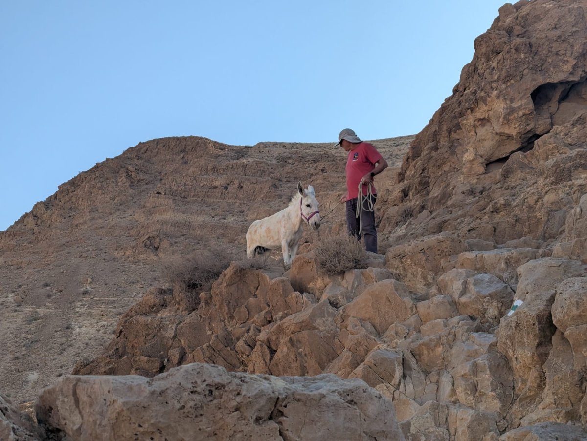עומר לוי, יחידת חילוץ ערד