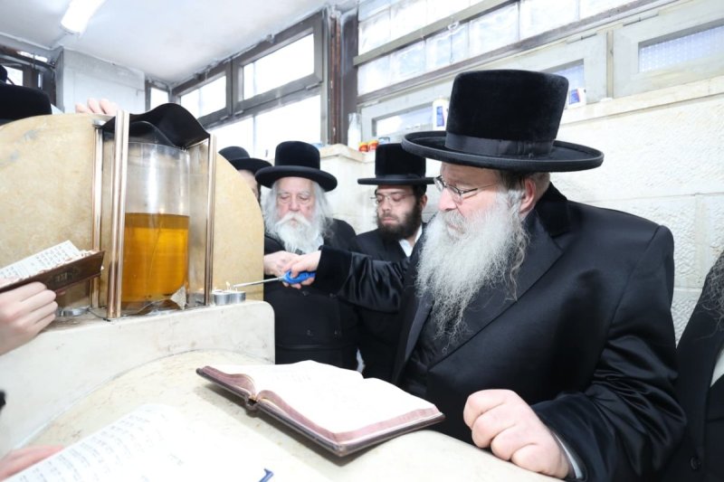 שלומי טריכטר