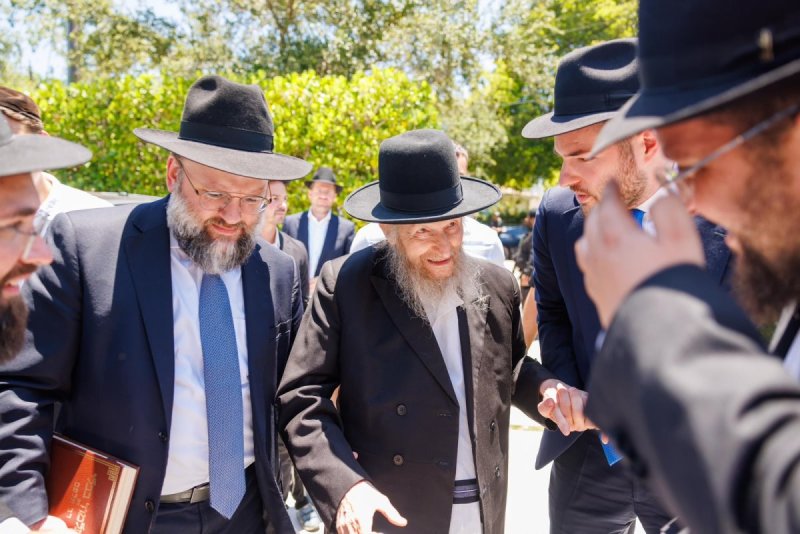 דניאל נפוסי ואלי קובין