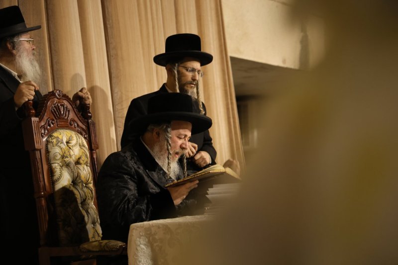 נתי אמרגי