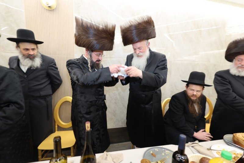 שלומי טריכטר