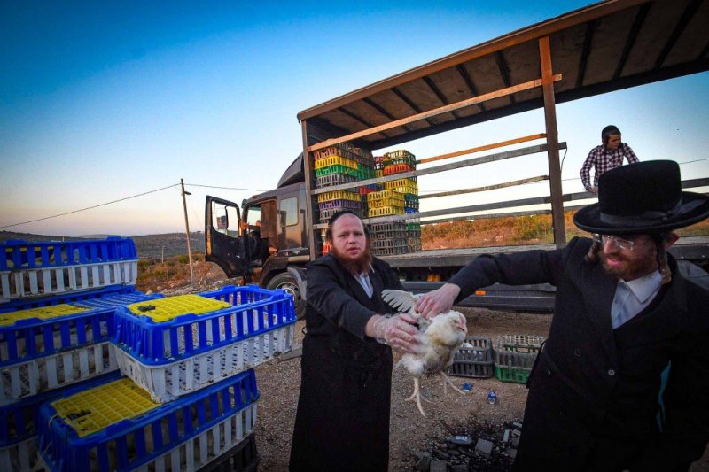 ארי קופרשטוק