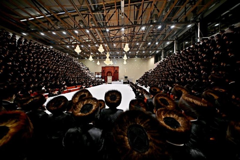 יהושע פרוכטר