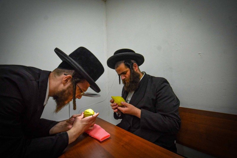 ארי קופרשטוק