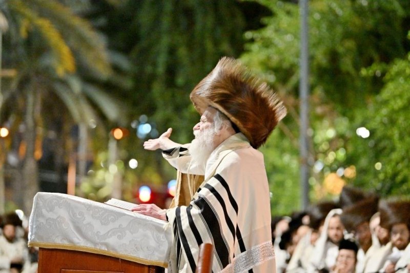 יהושע פרוכטר