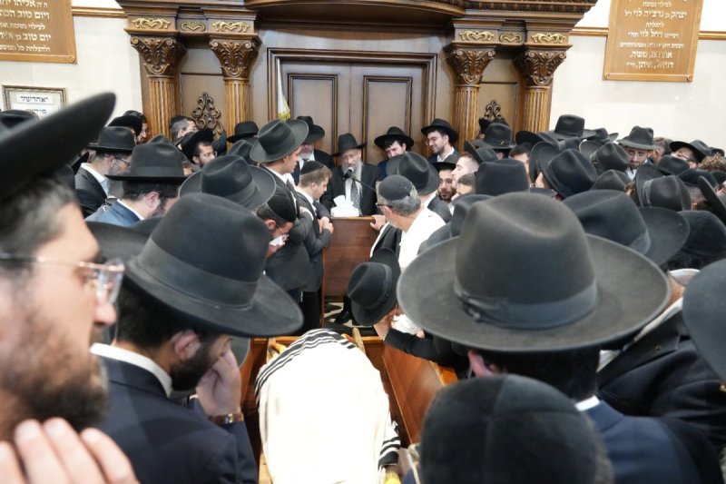 דוד חי - בצליל ובזמר