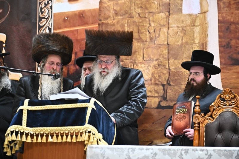 שוקי לרר