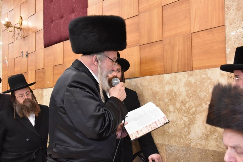 יהודה פרקוביץ