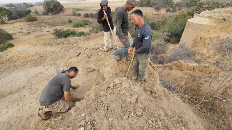 אלה טל חיוט רשות הטבע והגנים