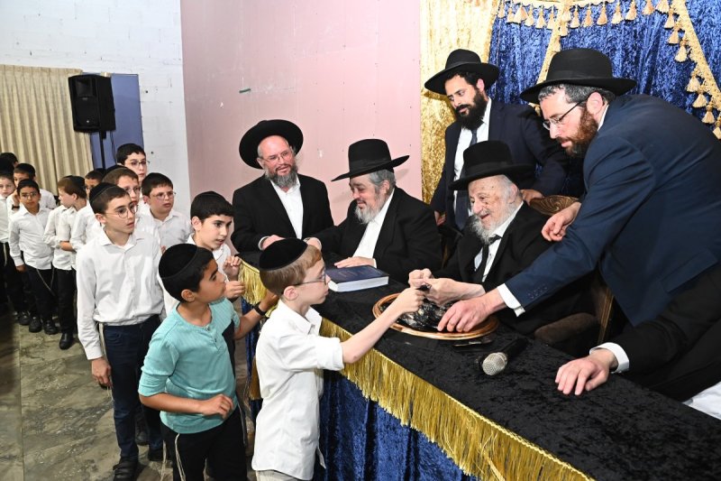 שוקי לרר