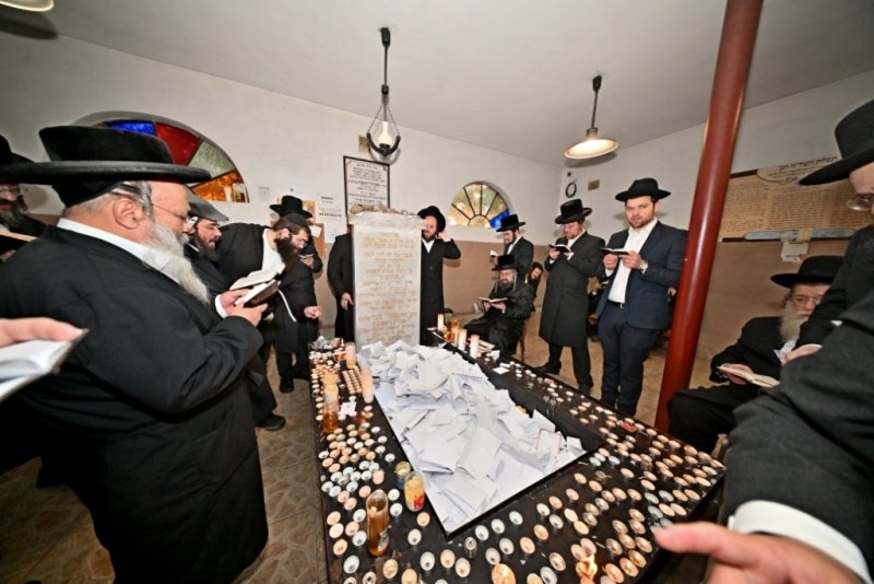 יהושע פרוכטר