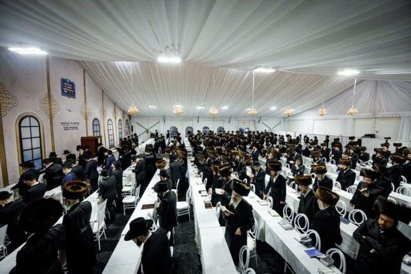 יוסי גולדברגר