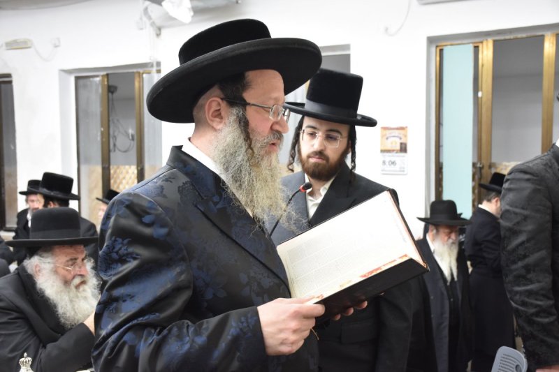 יהודה פרקוביץ