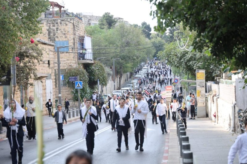 שלומי טריכטר ומ.פ