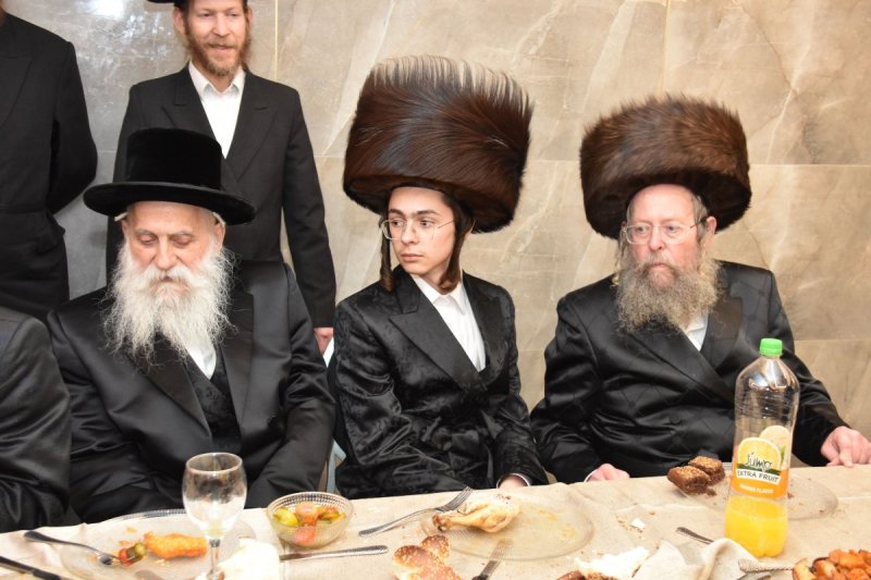יהודה פרקוביץ