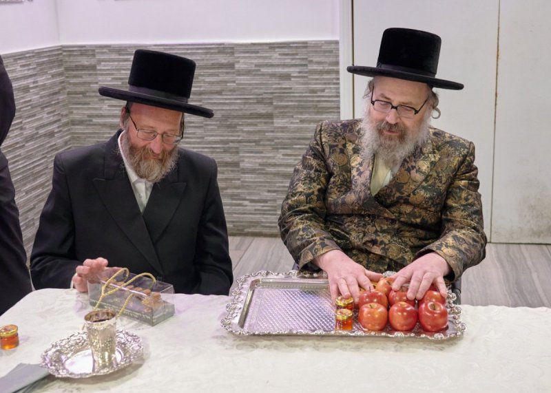 דודי בראון