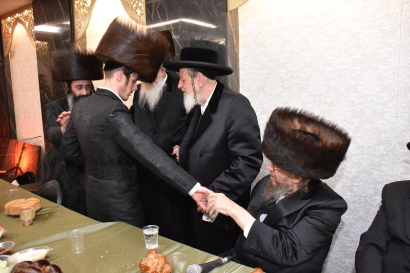 יהודה פרקוביץ