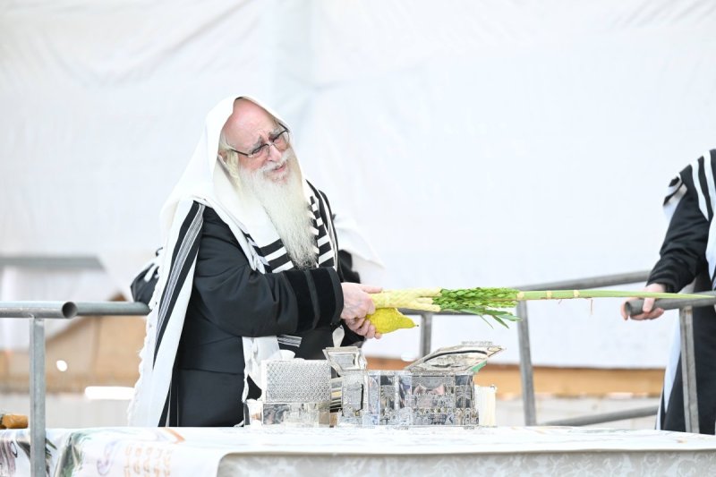 משה גולדשטיין