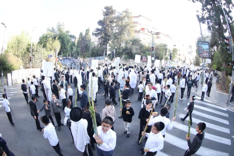 שלומי טריכטר ומ.פ