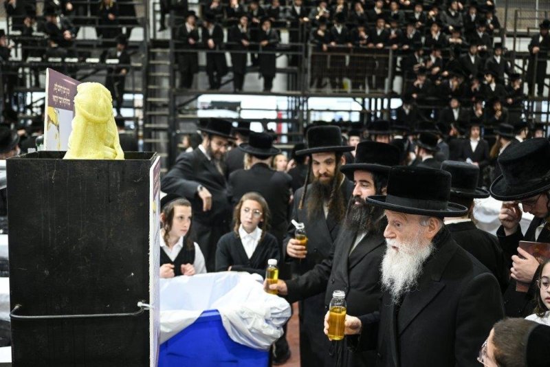 משה גולדשטיין