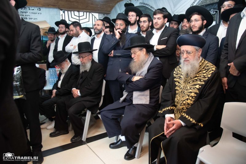 עזרא טרבלסי