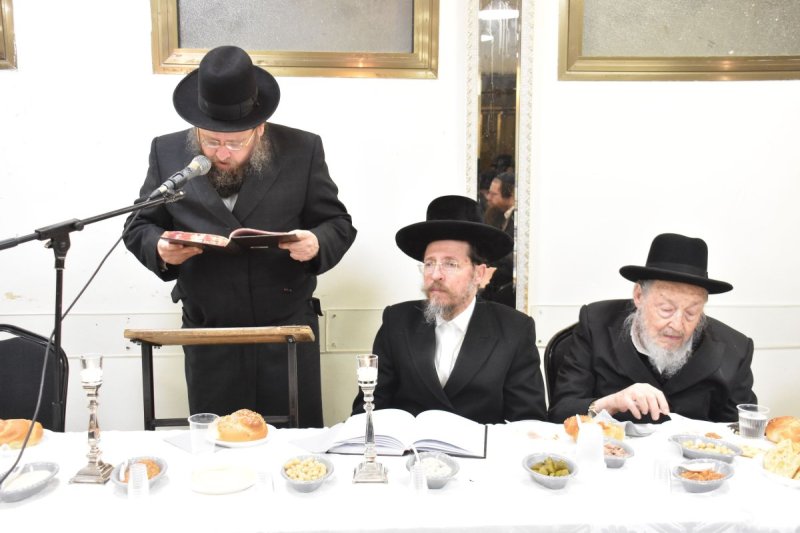 יהודה פרקוביץ