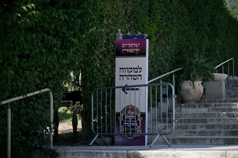 יהושע פרוכטר