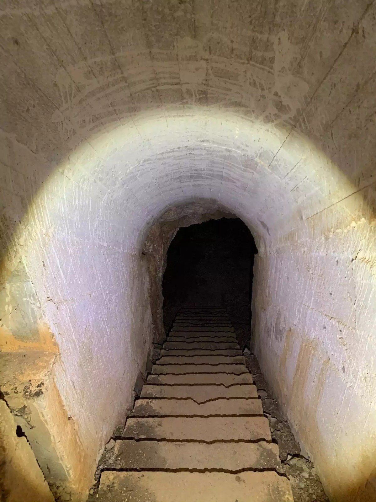 רשתות חברתיות