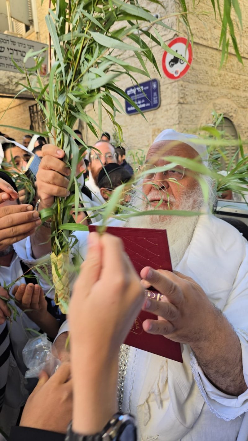 שלומי טריכטר ומ.פ