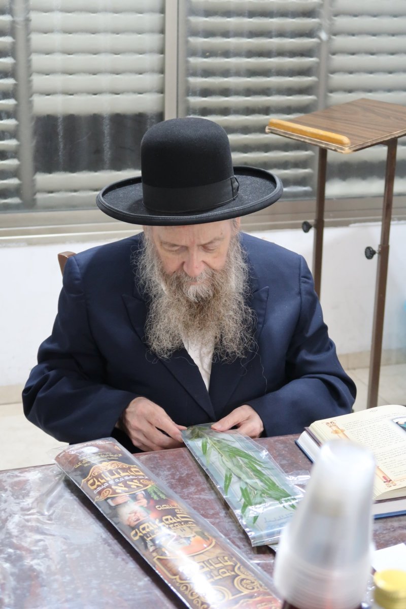 י. פריד
