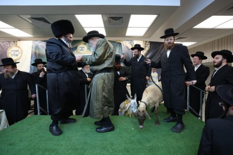 באדיבות המצלם