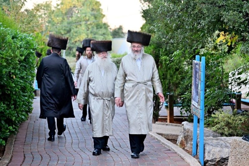 יהושע פרוכטר