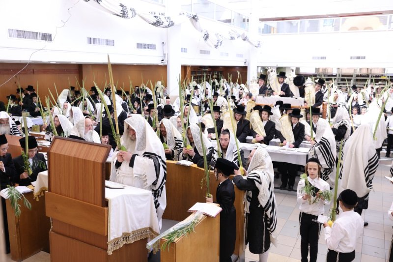 שוקי לרר, אברומי ברגר ומ.ש