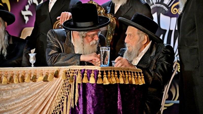 יהושע פרוכטר