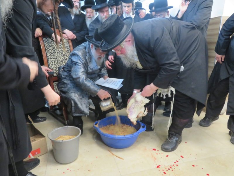 באדיבות המצלם