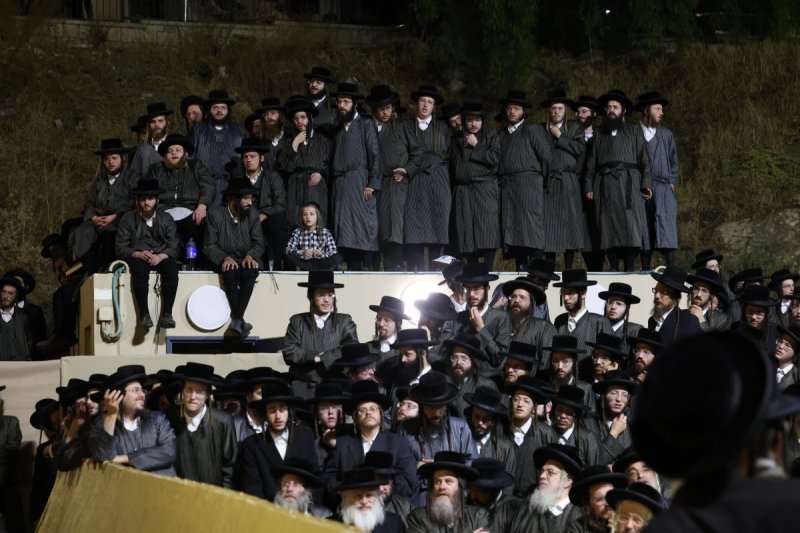 דוד כהן