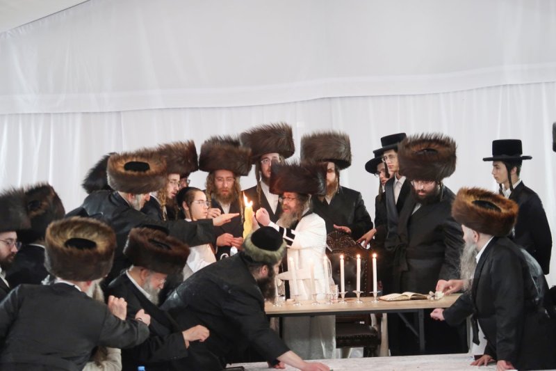 מ.א נוימן