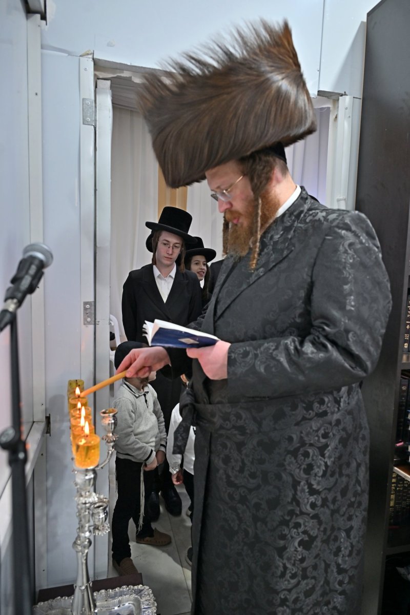 יהושע פרוכטר