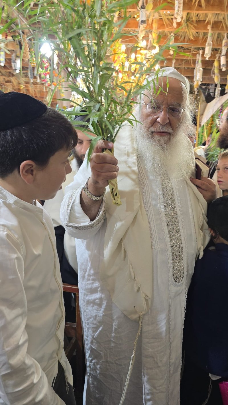 שלומי טריכטר ומ.פ